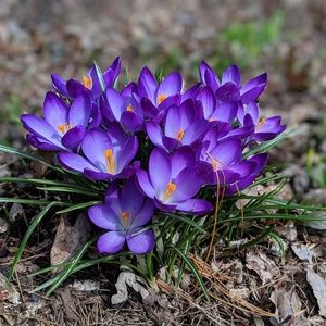 SPRING SALE! Make an offer! Clean out my closet!!